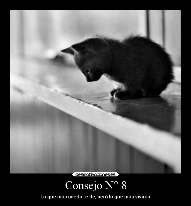 Consejo N° 8 - 