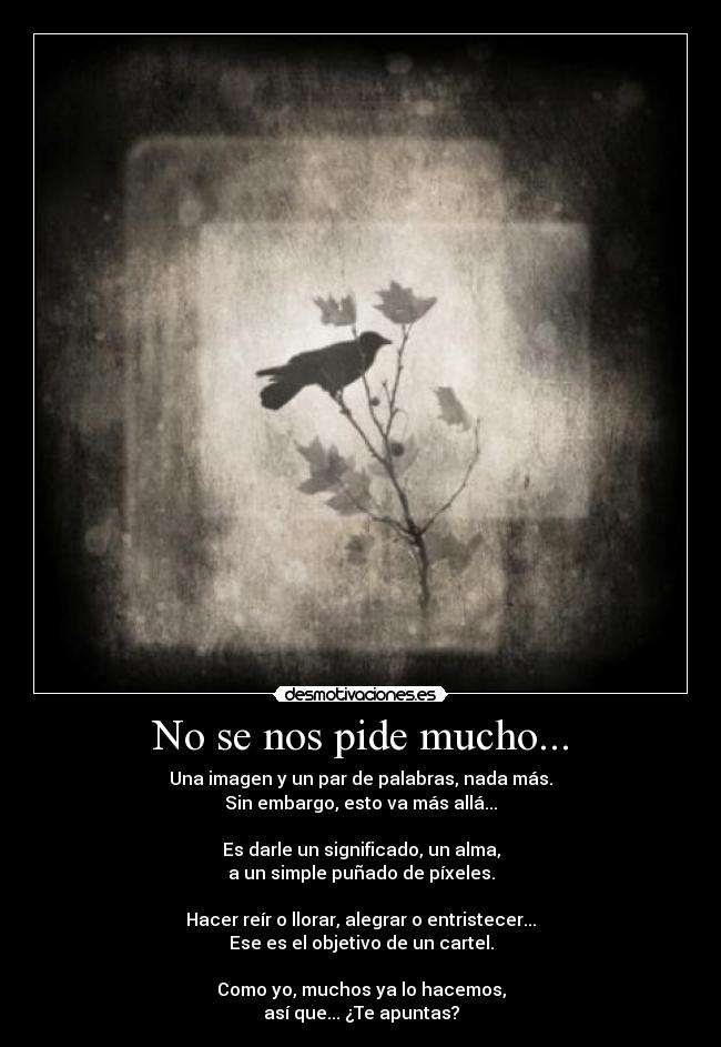 No se nos pide mucho... -
