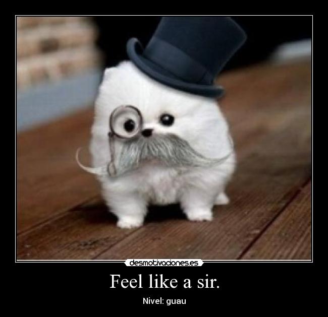 Feel like a sir. - Nivel: guau