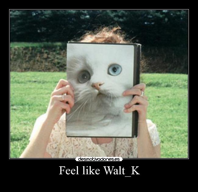 Feel like Walt_K - 