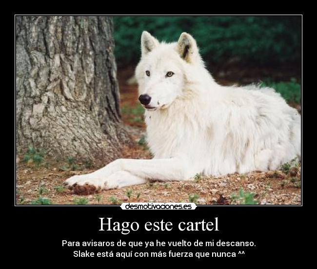 Hago este cartel - Para avisaros de que ya he vuelto de mi descanso.
Slake está aquí con más fuerza que nunca ^^