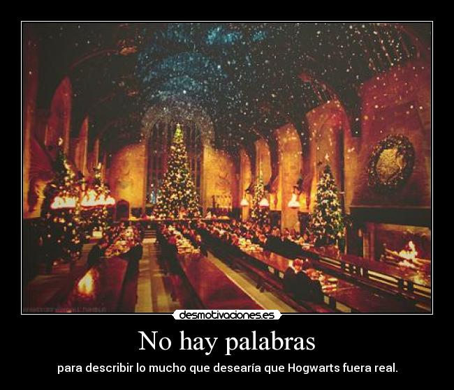 No hay palabras - para describir lo mucho que desearía que Hogwarts fuera real.