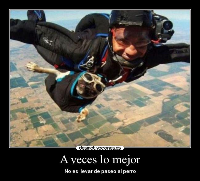 A veces lo mejor - No es llevar de paseo al perro