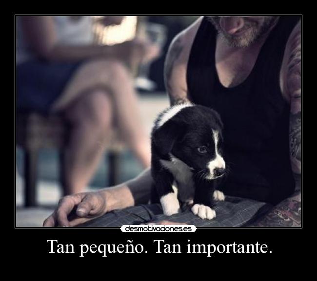 Tan pequeño. Tan importante. -