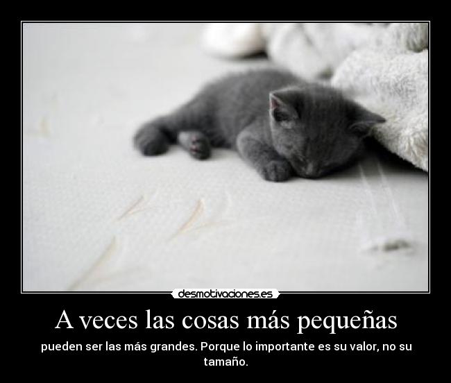 A veces las cosas más pequeñas - pueden ser las más grandes. Porque lo importante es su valor, no su tamaño.
