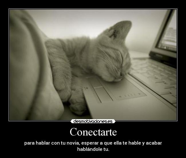 Conectarte -