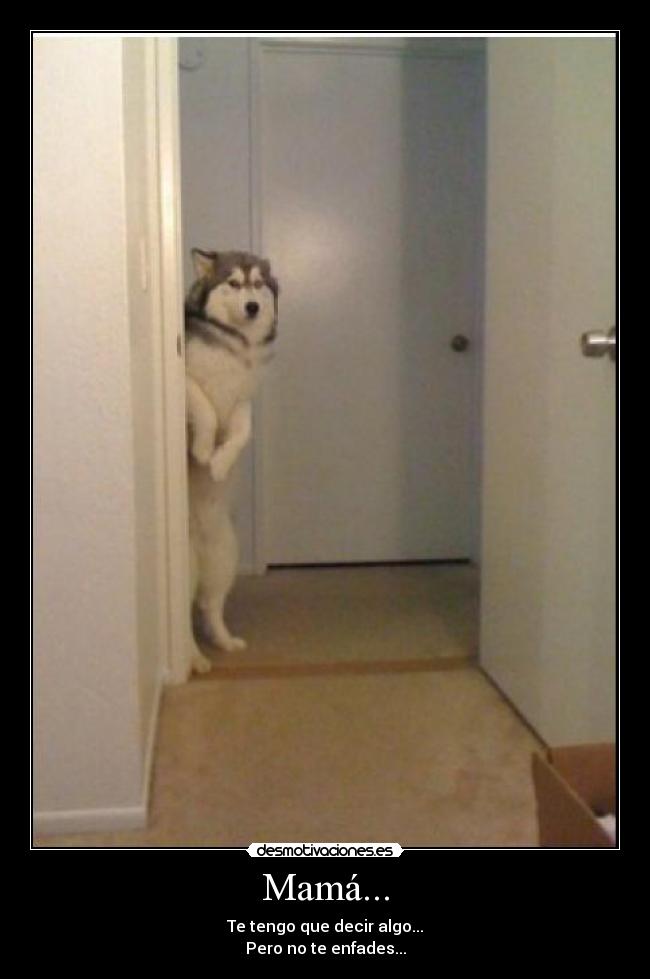 Mamá... - Te tengo que decir algo...
Pero no te enfades...