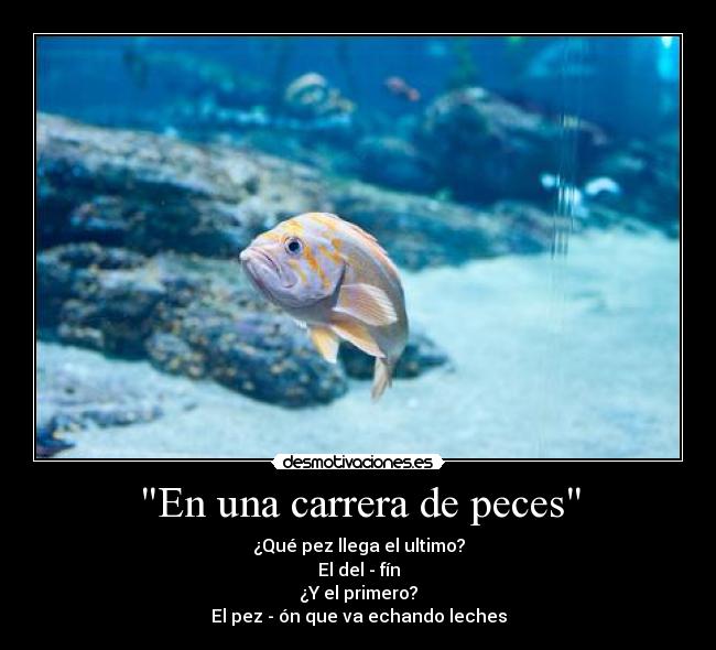 carteles desmotivaciones
