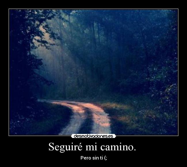 Seguiré mi camino. - Pero sin ti (;