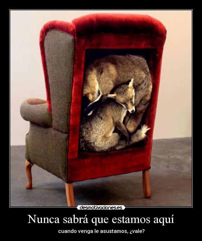 Nunca sabrá que estamos aquí - cuando venga le asustamos, ¿vale?