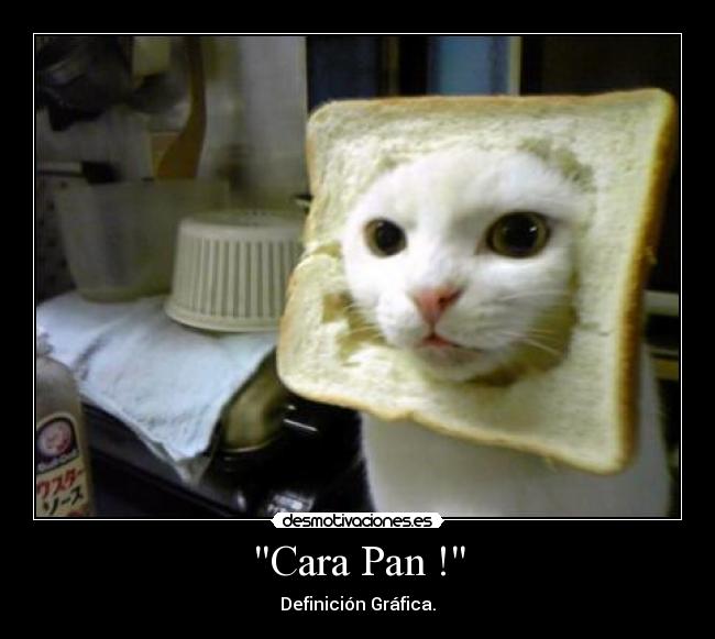Cara Pan ! - 