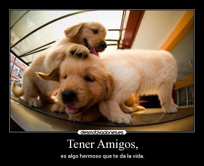 carteles amigos friends desmotivaciones