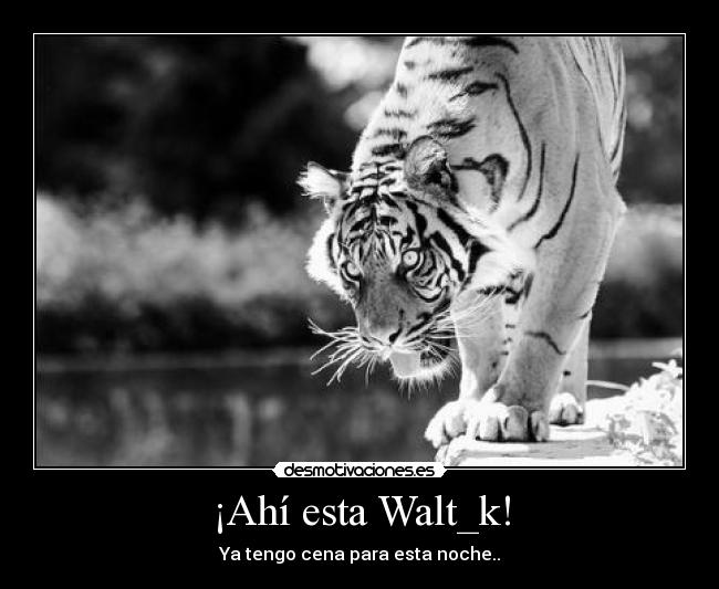¡Ahí esta Walt_k! -