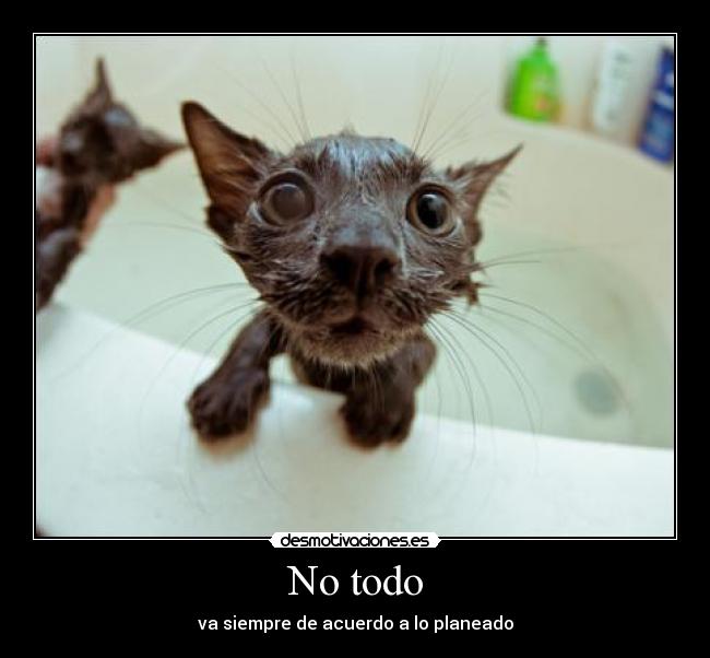 No todo - va siempre de acuerdo a lo planeado