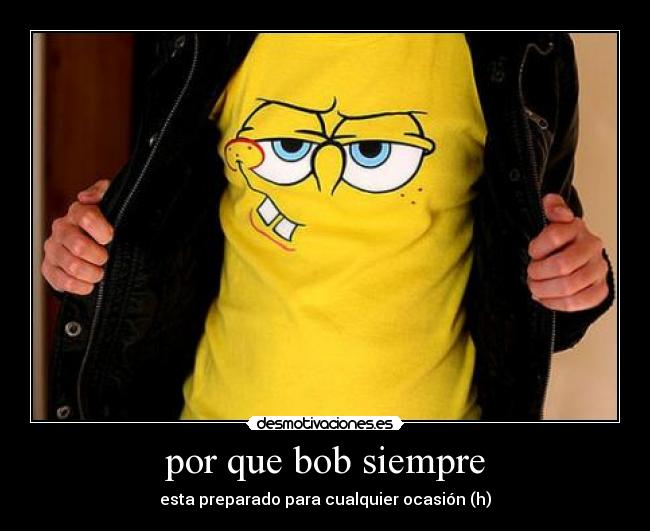 por que bob siempre -