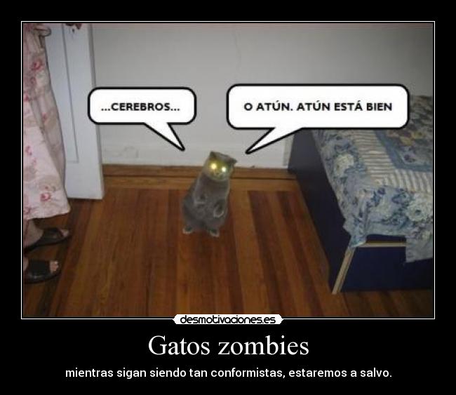 Gatos zombies - mientras sigan siendo tan conformistas, estaremos a salvo.