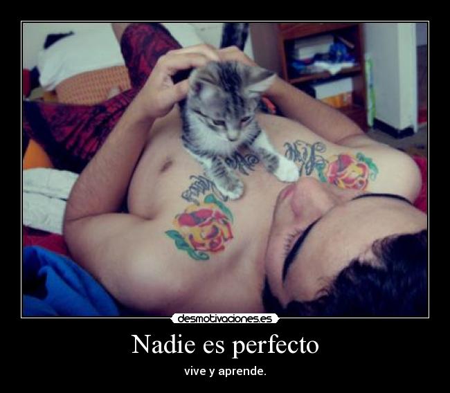 Nadie es perfecto - 