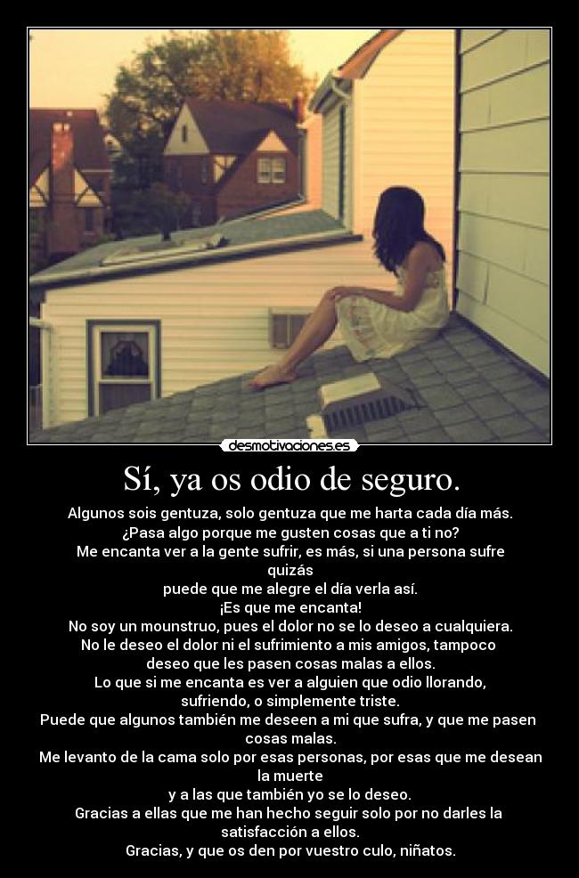 Sí, ya os odio de seguro. - 