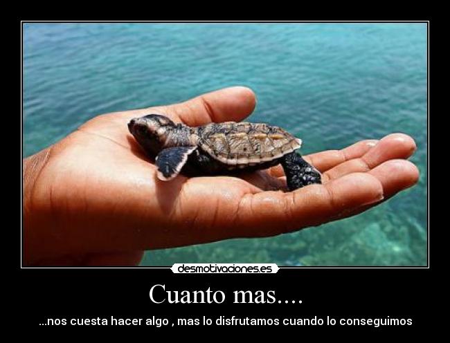 Cuanto mas.... - ...nos cuesta hacer algo , mas lo disfrutamos cuando lo conseguimos