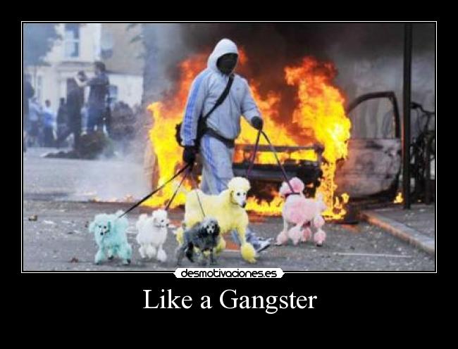 Like a Gangster - 