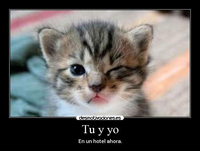 Tu y yo - En un hotel ahora.