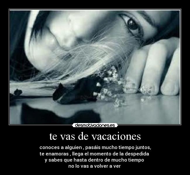 te vas de vacaciones - conoces a alguien , pasáis mucho tiempo juntos,
te enamoras , llega el momento de la despedida
y sabes que hasta dentro de mucho tiempo
no lo vas a volver a ver