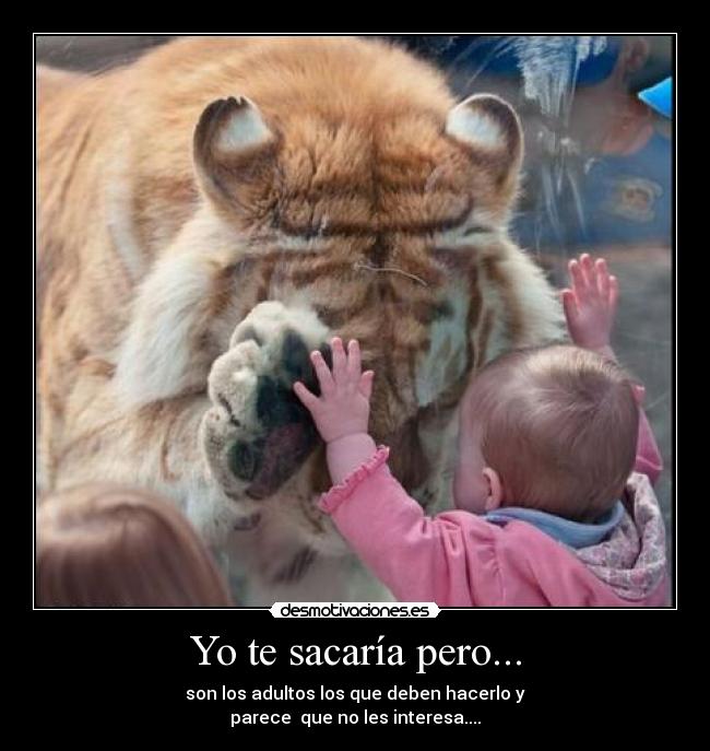 Yo te sacaría pero... - son los adultos los que deben hacerlo y
parece que no les interesa....