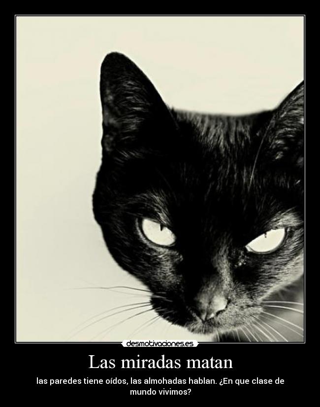 Las miradas matan - las paredes tiene oídos, las almohadas hablan. ¿En que clase de mundo vivimos?