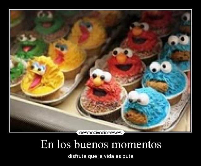 En los buenos momentos - disfruta que la vida es puta
