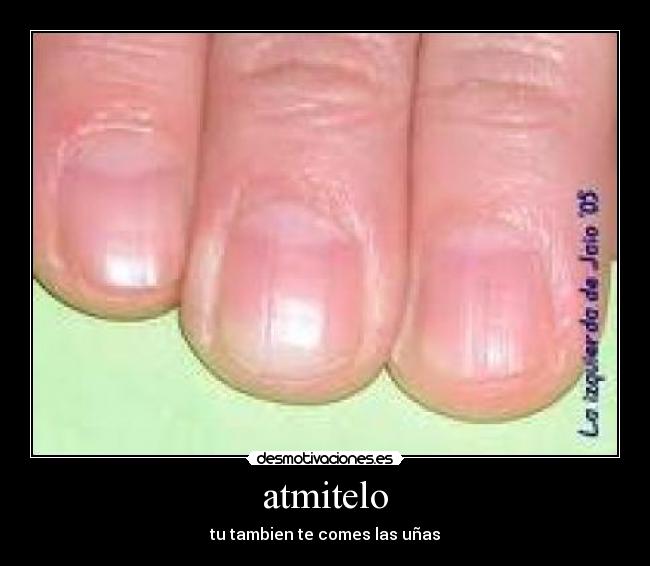 atmitelo -