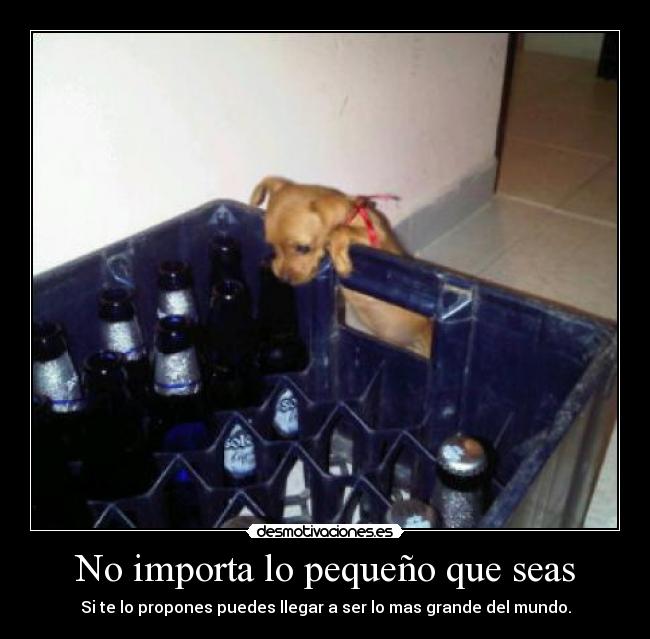 No importa lo pequeño que seas - 