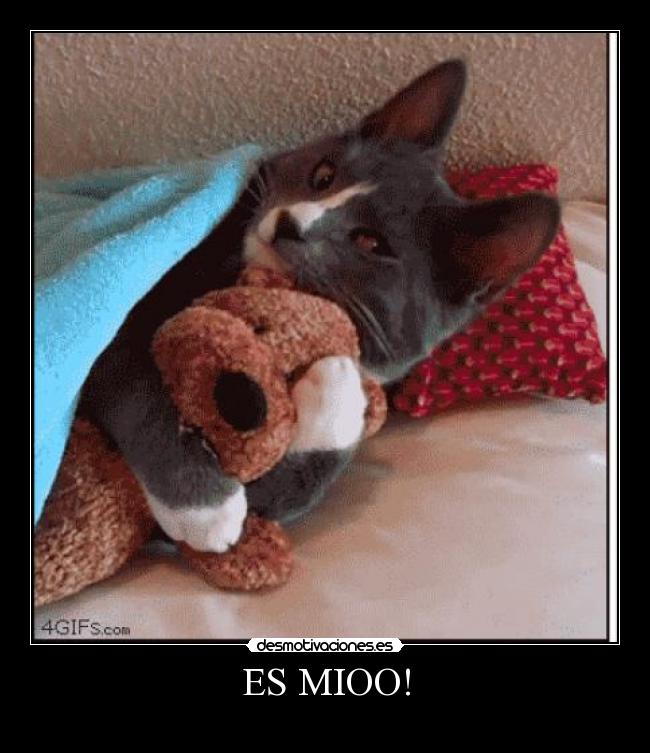 ES MIOO! -