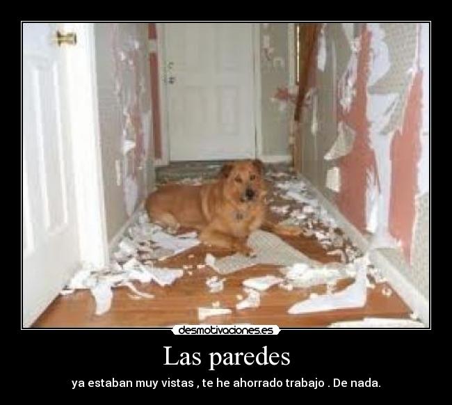 Las paredes - ya estaban muy vistas , te he ahorrado trabajo . De nada.