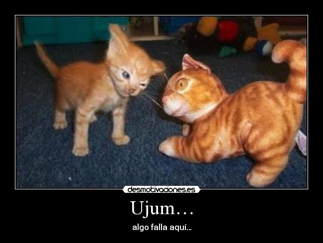 Ujum… -
