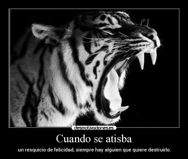 Cuando se atisba - un resquicio de felicidad, siempre hay alguien que quiere destruirlo.