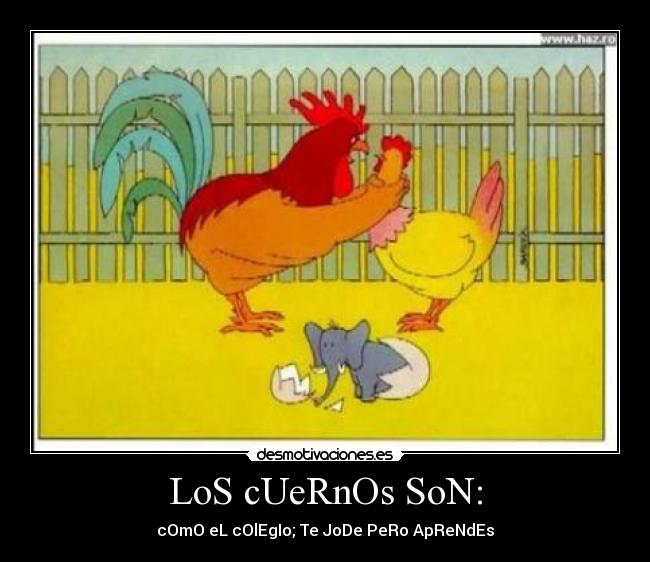 carteles xddddddddddddddddddddddd desmotivaciones