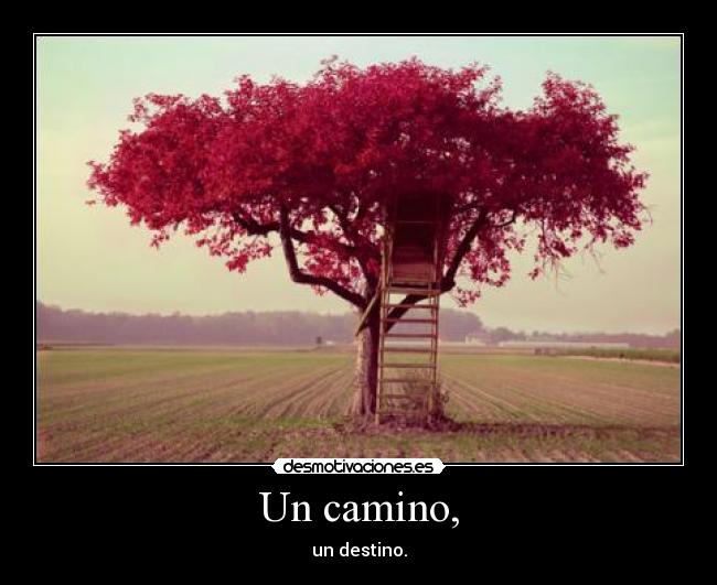 Un camino, -