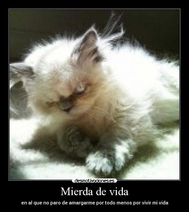 Mierda de vida - en al que no paro de amargarme por todo menos por vivir mi vida