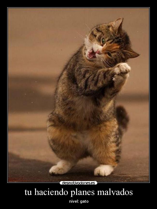 tu haciendo planes malvados -