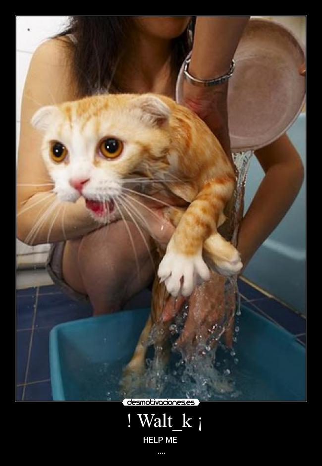 ! Walt_k ¡ - HELP ME
....