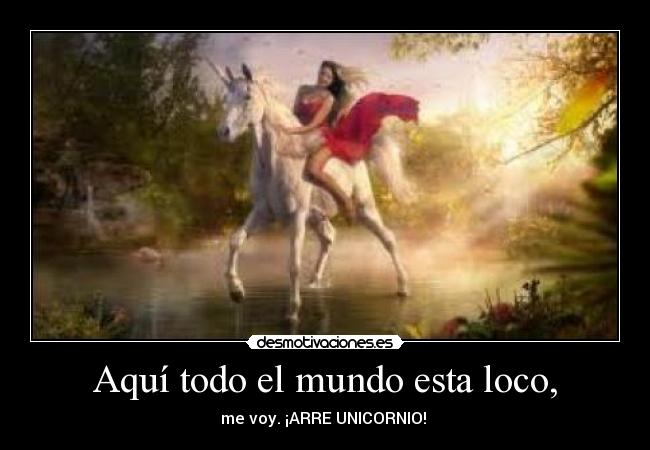 Aquí todo el mundo esta loco, -