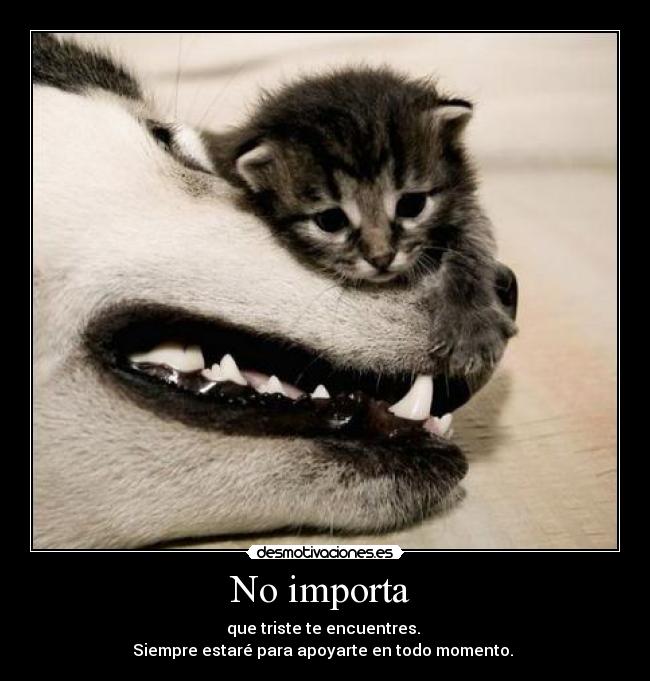 No importa  - 