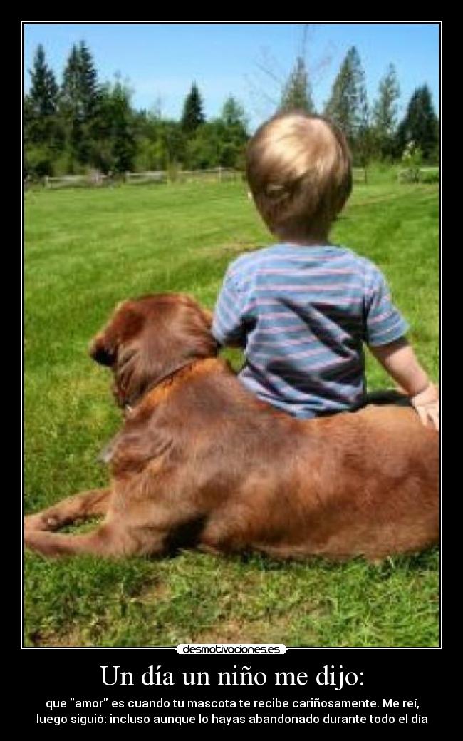 Un día un niño me dijo: -