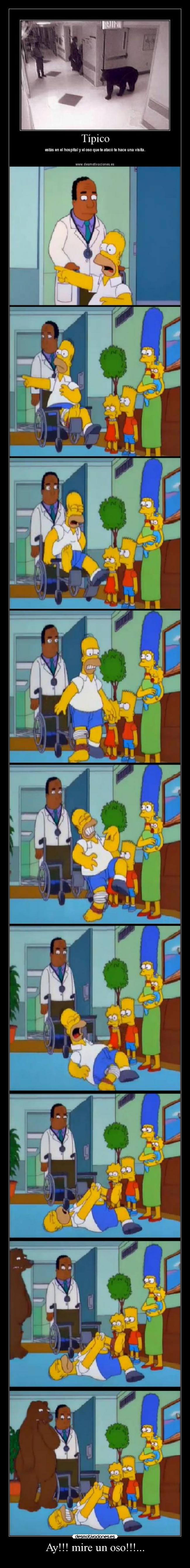 Ay!!! mire un oso!!!... - 