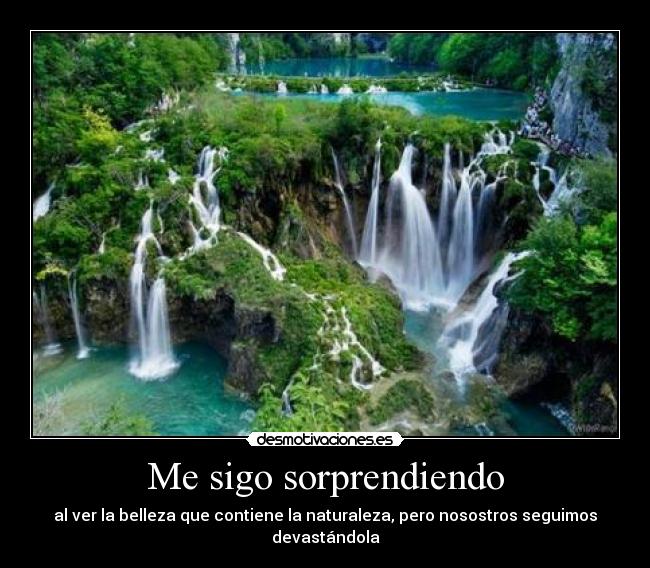 Me sigo sorprendiendo - al ver la belleza que contiene la naturaleza, pero nosostros seguimos devastándola