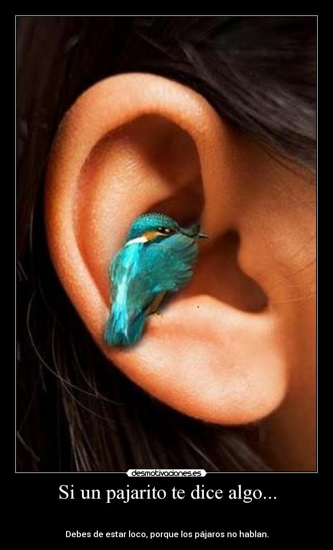 carteles antoniogachero desmotivaciones