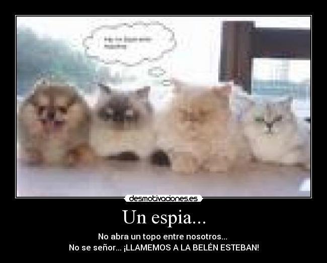 Un espia... - No abra un topo entre nosotros...
No se señor... ¡LLAMEMOS A LA BELÉN ESTEBAN!