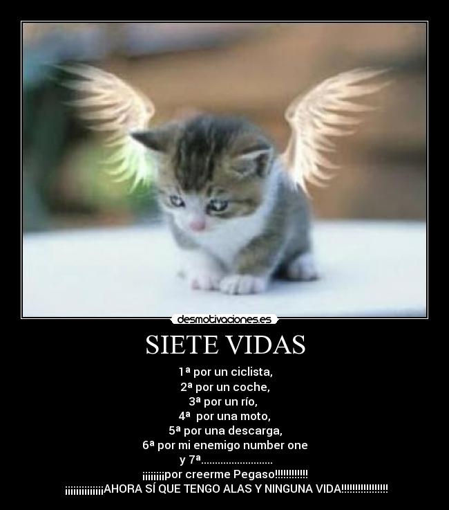 SIETE VIDAS - 1ª por un ciclista,
2ª por un coche,
3ª por un río,
4ª por una moto,
5ª por una descarga,
6ª por mi enemigo number one
y 7ª..........................
¡¡¡¡¡¡¡¡por creerme Pegaso!!!!!!!!!!!!
¡¡¡¡¡¡¡¡¡¡¡¡¡¡AHORA SÍ QUE TENGO ALAS Y NINGUNA VIDA!!!!!!!!!!!!!!!!!