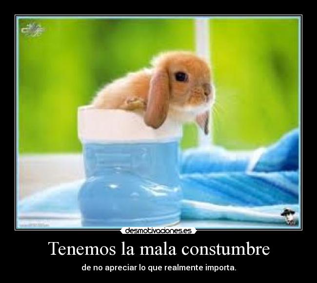 carteles lidialovearoa desmotivaciones