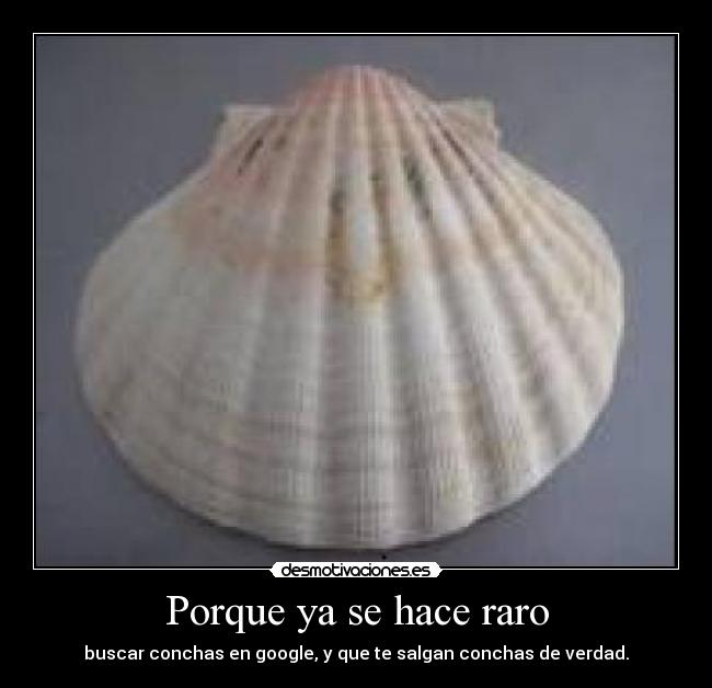 carteles conchas google desmotivaciones
